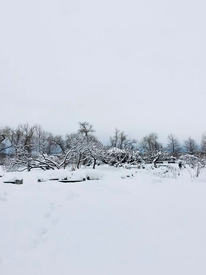 I Captured Bucharest Under Snow (30 Pics)