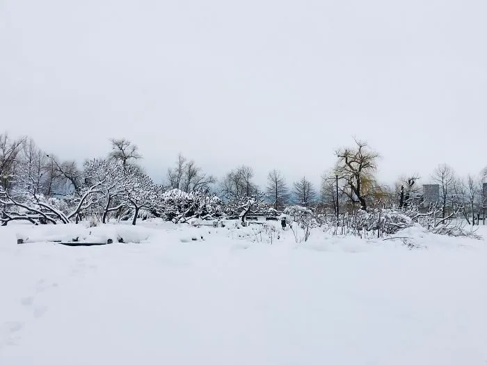 I Captured Bucharest Under Snow (30 Pics)