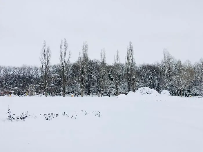 I Captured Bucharest Under Snow (30 Pics)