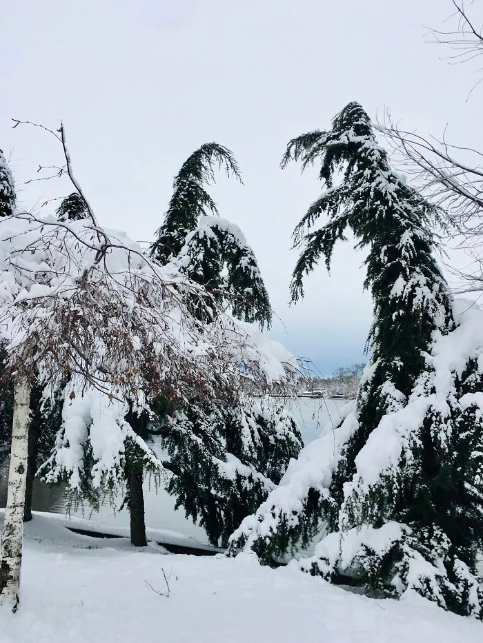 I Captured Bucharest Under Snow (30 Pics)