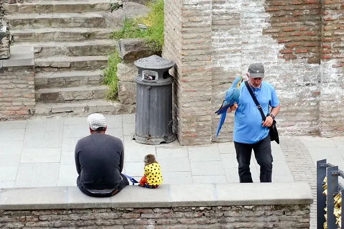 Tbilisi, Georgia