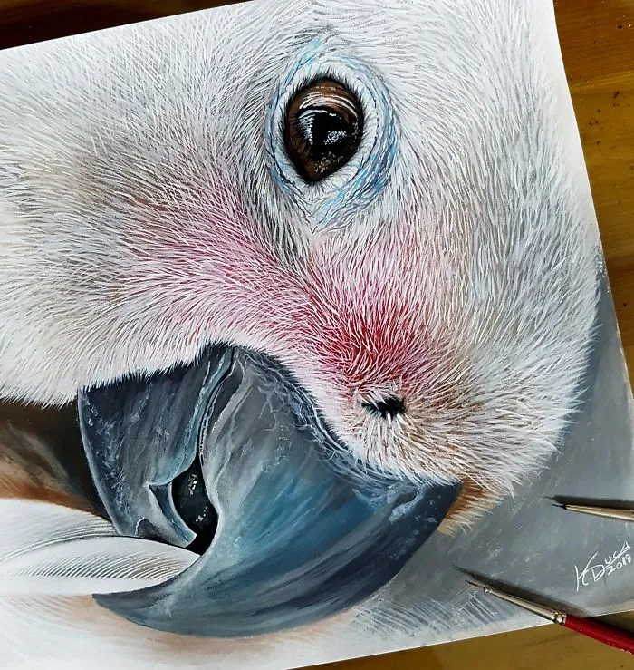 Goffin's Cockatoo