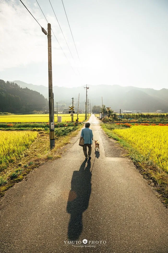 Este fotógrafo capta el conmovedor vínculo entre su abuela y su shiba inu en 30 preciosas fotos