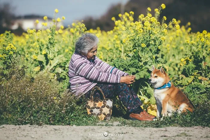 Este fotógrafo capta el conmovedor vínculo entre su abuela y su shiba inu en 30 preciosas fotos