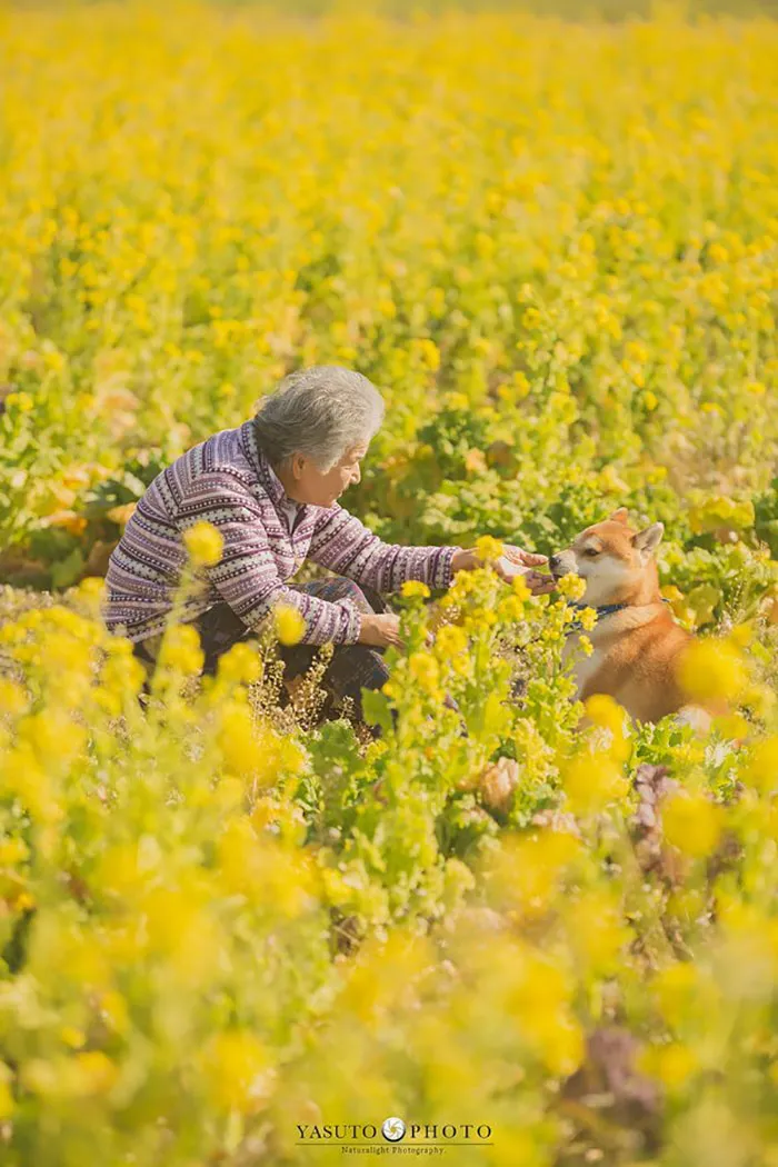 Este fotógrafo capta el conmovedor vínculo entre su abuela y su shiba inu en 30 preciosas fotos