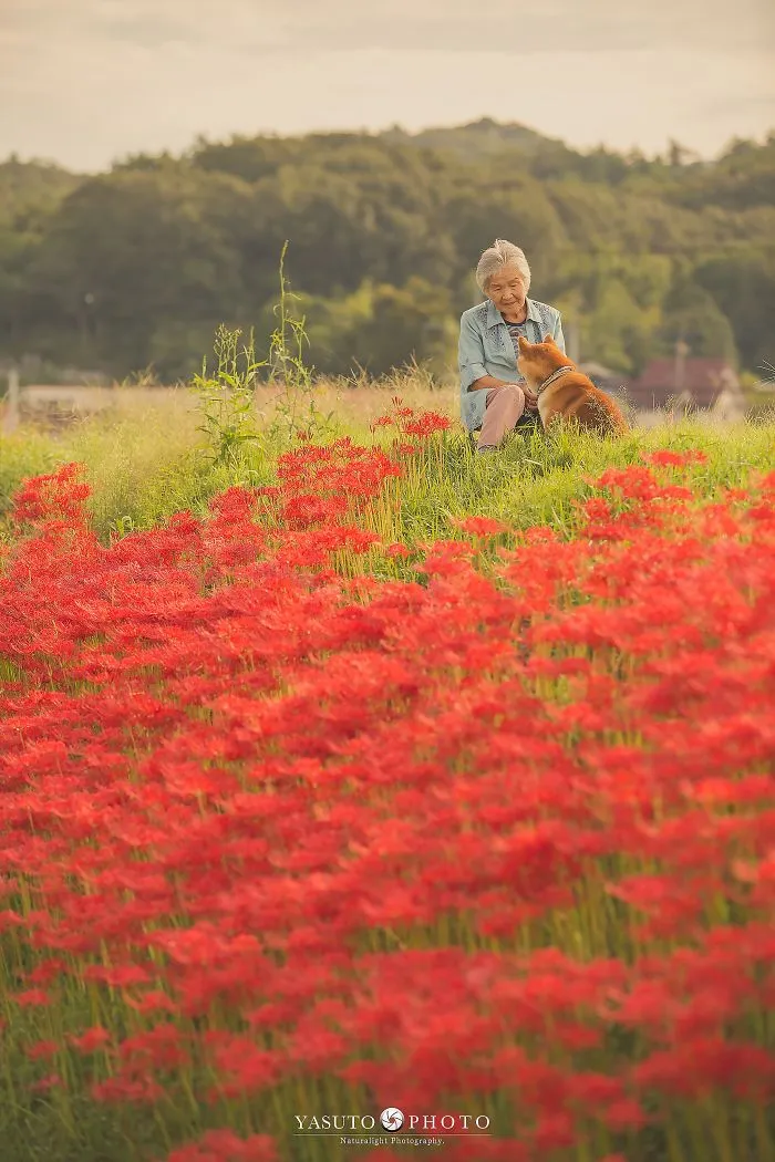 Este fotógrafo capta el conmovedor vínculo entre su abuela y su shiba inu en 30 preciosas fotos