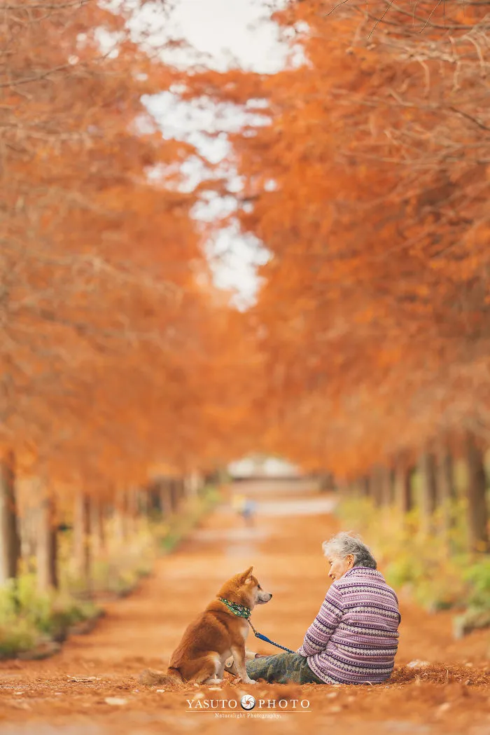 Este fotógrafo capta el conmovedor vínculo entre su abuela y su shiba inu en 30 preciosas fotos