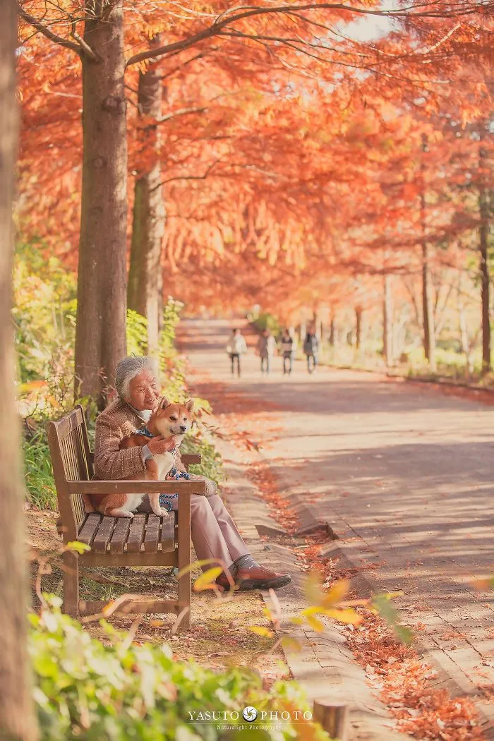 Este fotógrafo capta el conmovedor vínculo entre su abuela y su shiba inu en 30 preciosas fotos