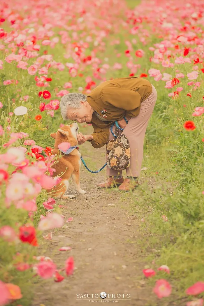 Este fotógrafo capta el conmovedor vínculo entre su abuela y su shiba inu en 30 preciosas fotos