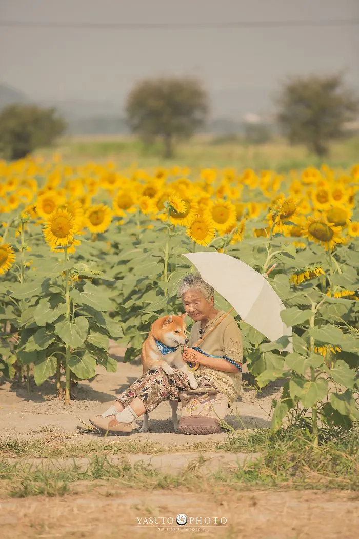 Grandson Captures The Heartwarming Bond Between His Grandma And Her Shiba Inu In 30 Beautiful Pics