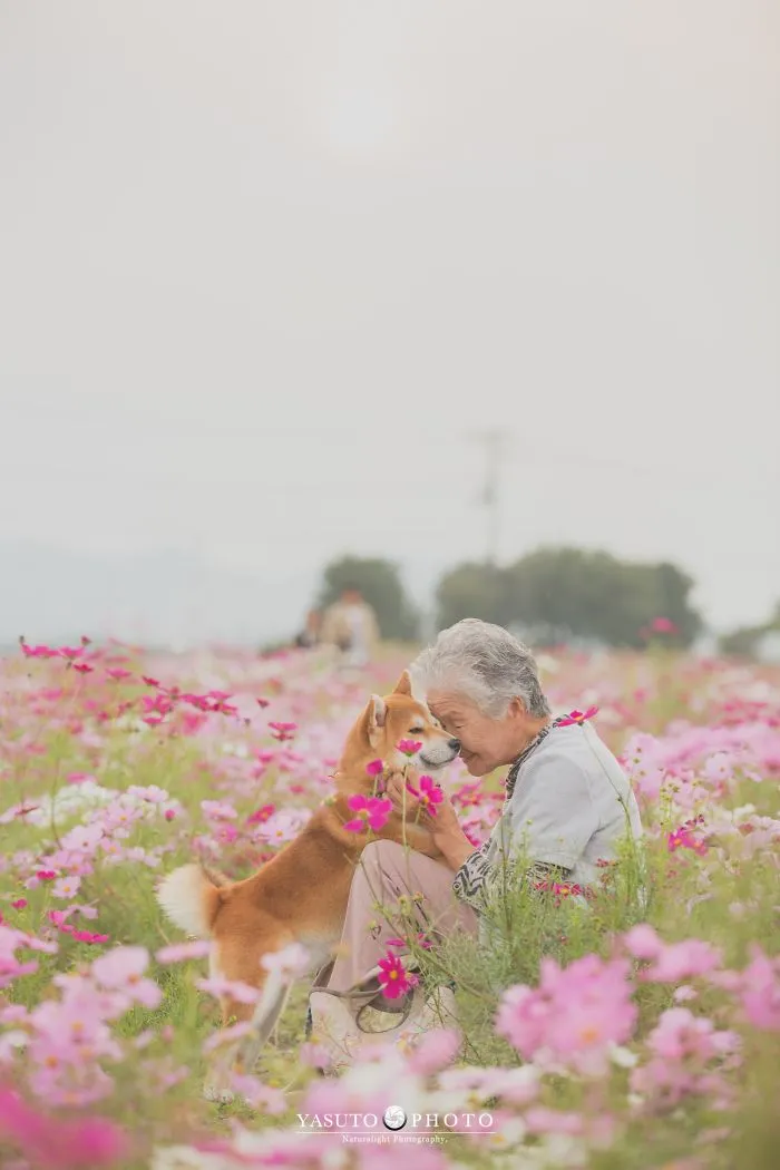 Este fotógrafo capta el conmovedor vínculo entre su abuela y su shiba inu en 30 preciosas fotos