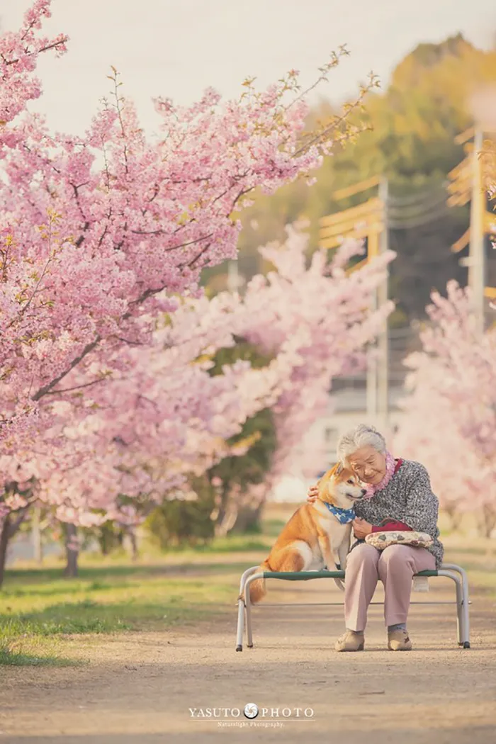 Este fotógrafo capta el conmovedor vínculo entre su abuela y su shiba inu en 30 preciosas fotos