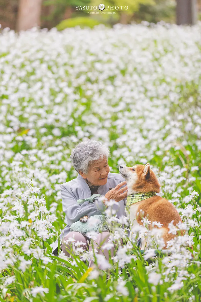 Este fotógrafo capta el conmovedor vínculo entre su abuela y su shiba inu en 30 preciosas fotos