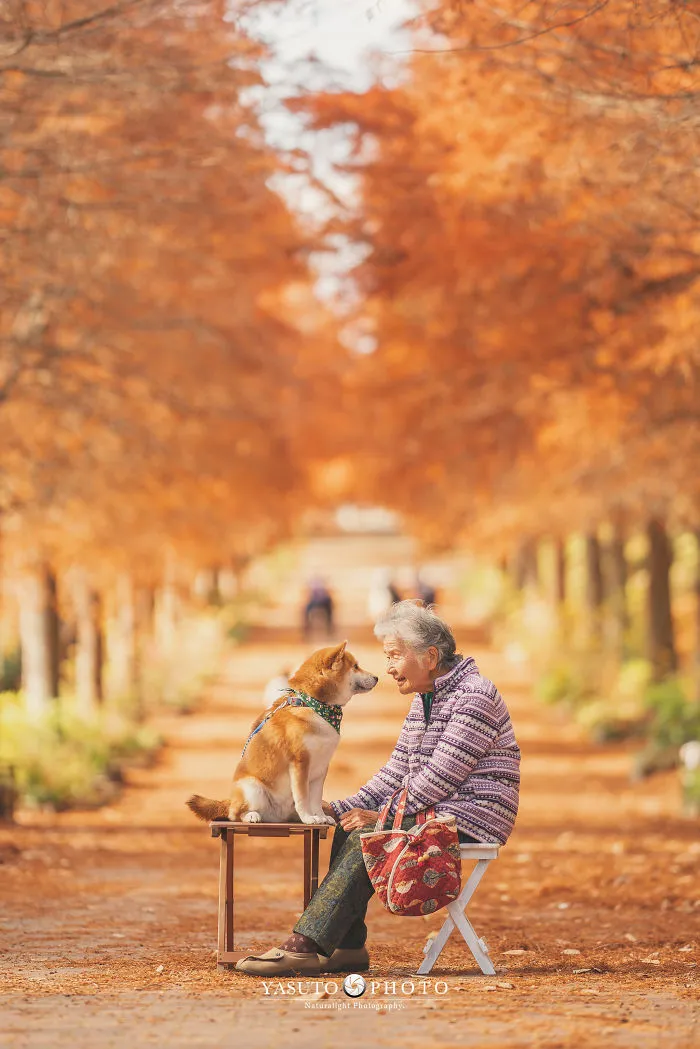 Este fotógrafo capta el conmovedor vínculo entre su abuela y su shiba inu en 30 preciosas fotos