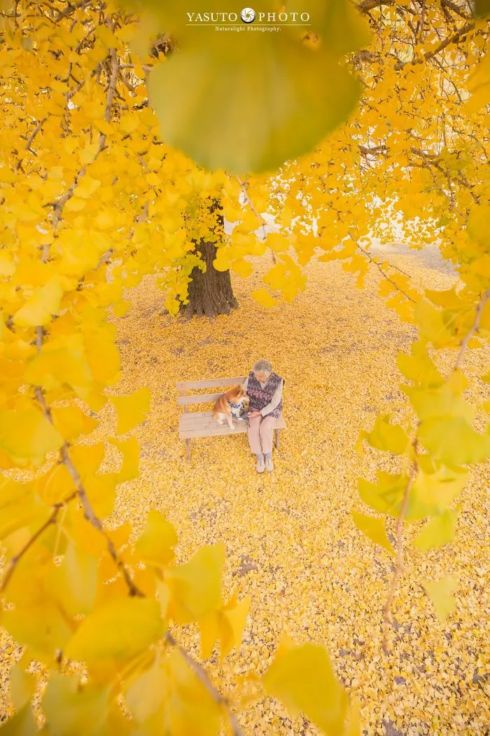Este fotógrafo capta el conmovedor vínculo entre su abuela y su shiba inu en 30 preciosas fotos