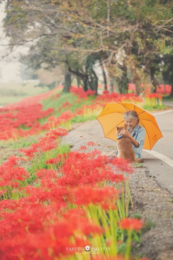 Este fotógrafo capta el conmovedor vínculo entre su abuela y su shiba inu en 30 preciosas fotos