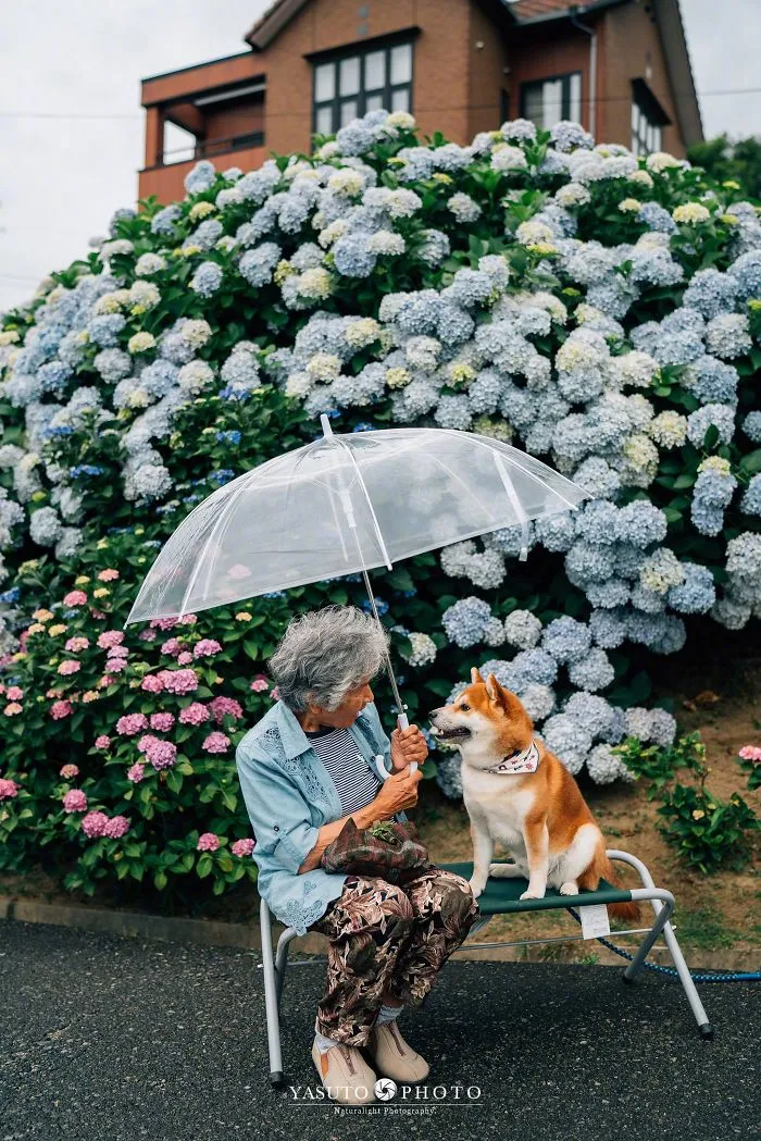 Este fotógrafo capta el conmovedor vínculo entre su abuela y su shiba inu en 30 preciosas fotos