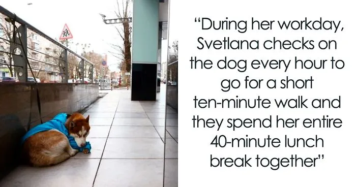 People Thought This Dog Was Abandoned, Turns Out He's Waiting For His Owner To Leave Work Every Day