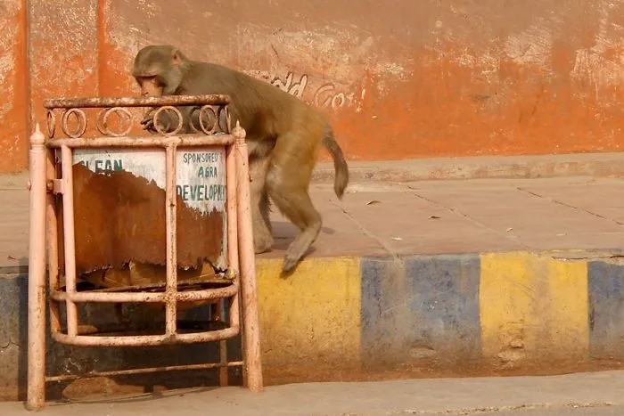 Agra, India
