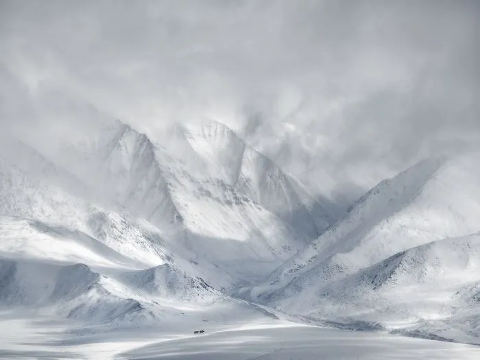 The Wildlife In Landscape Award: West Mongolia By Ricardo Da Cunha