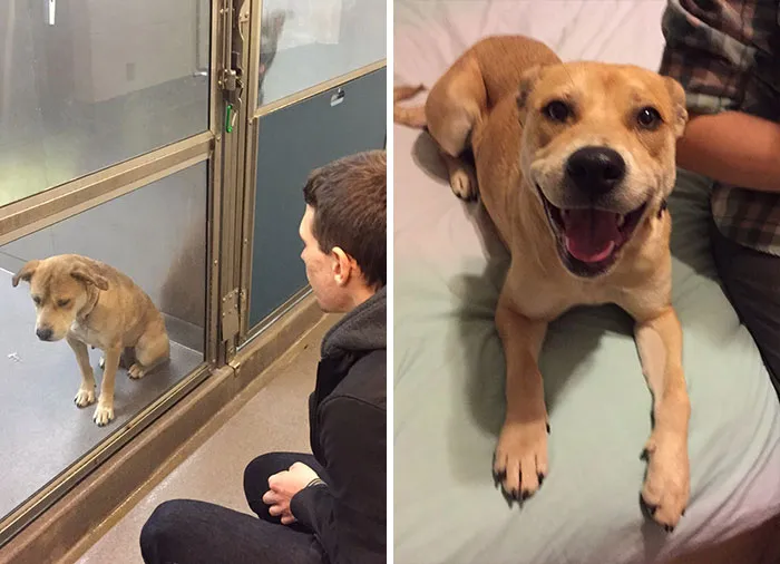 What A Difference One Day Can Make. Meet Spokey