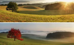 40 Of The Most Interesting Comparison Images (New Pics)
