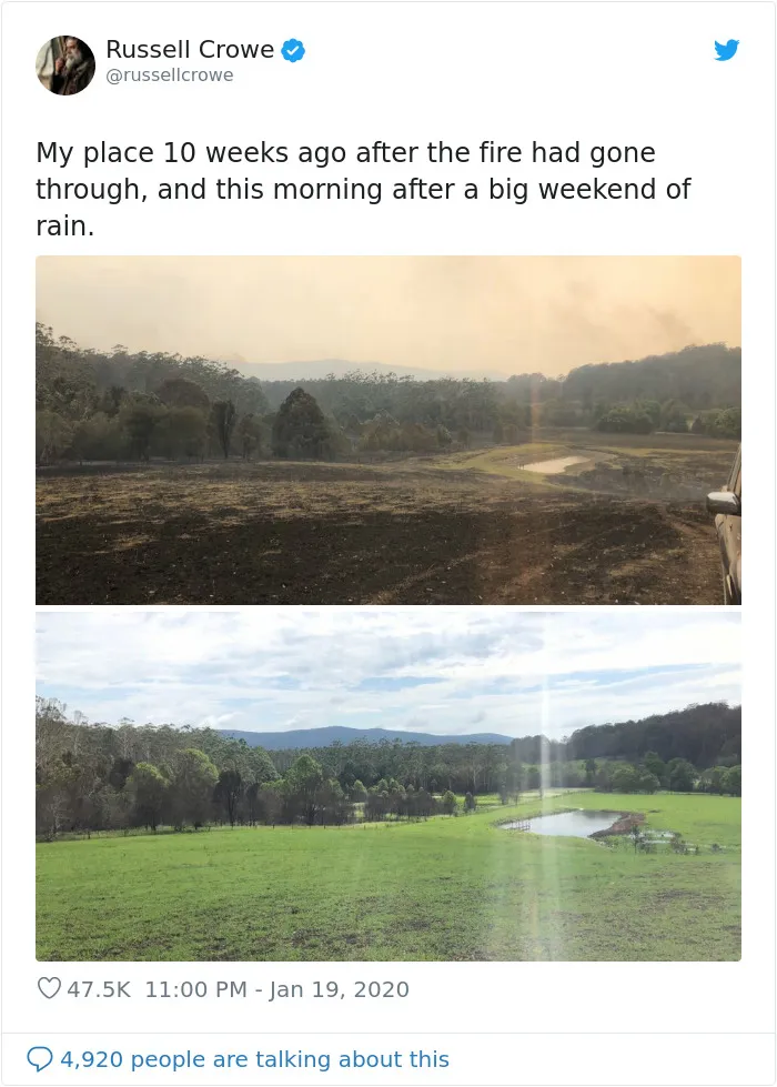 Earth Healing Itself