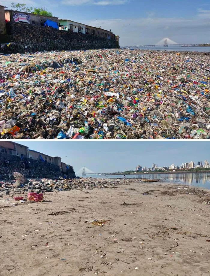 The Youth Have Been Cleaning The Mithi River (Mumbai, India) For Over A Year Now. Then vs. Now