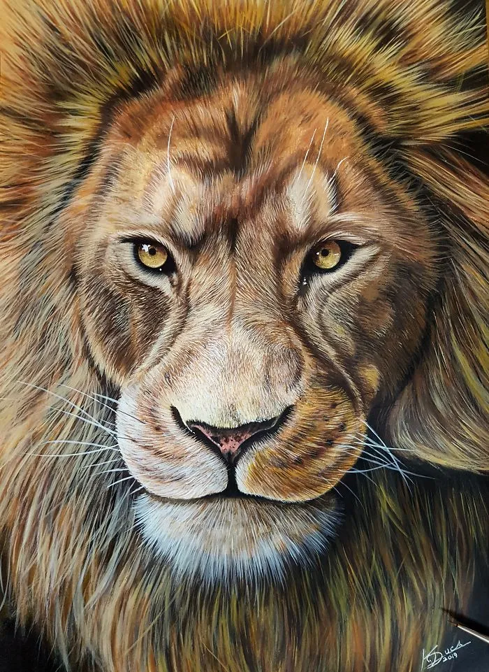 Lion