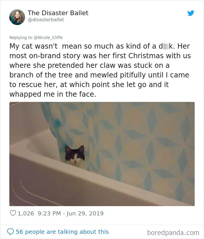 32 Funny Times People Realized How Mean Their Cats Actually Are