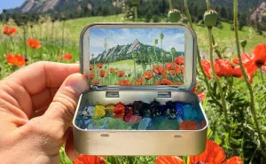 Artist Creates 30 Mini Plein Air Paintings In Altoids Tins