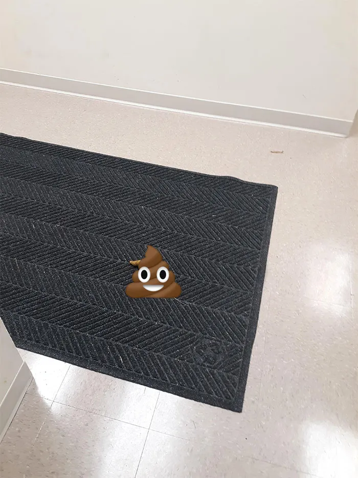 Coworker Brought His Dog To The Office. Dog Did This, Coworker Says "I'm Real Busy So Can Some Else Get It"
