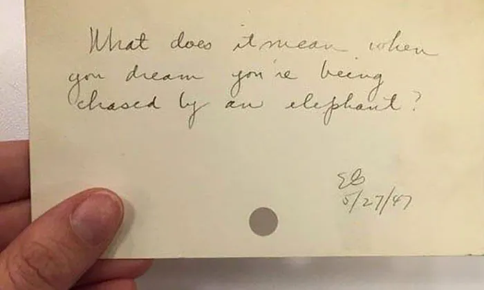 30 Of The Quirkiest Inquiries The New York Public Libary Had Received From The 1940s To The 1980s