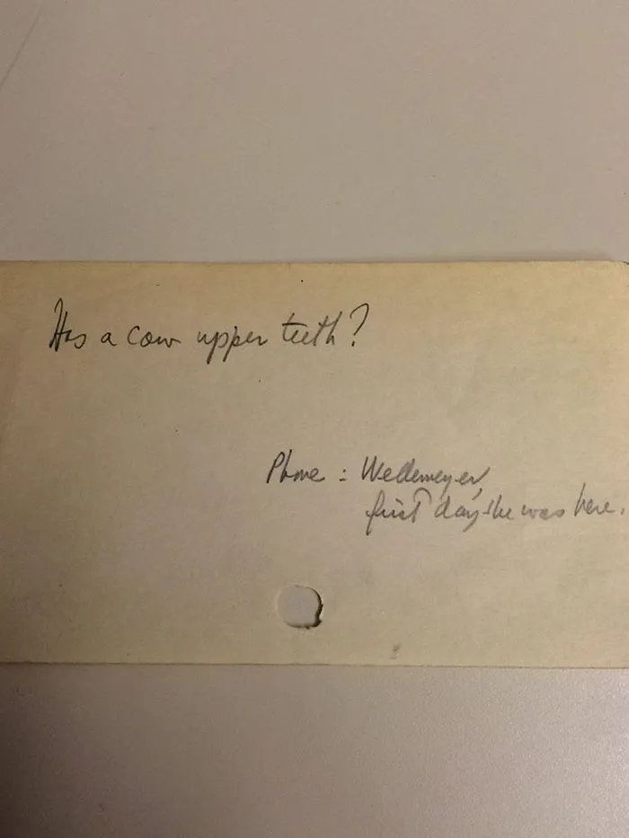 30 Of The Quirkiest Inquiries The New York Public Libary Had Received From The 1940s To The 1980s