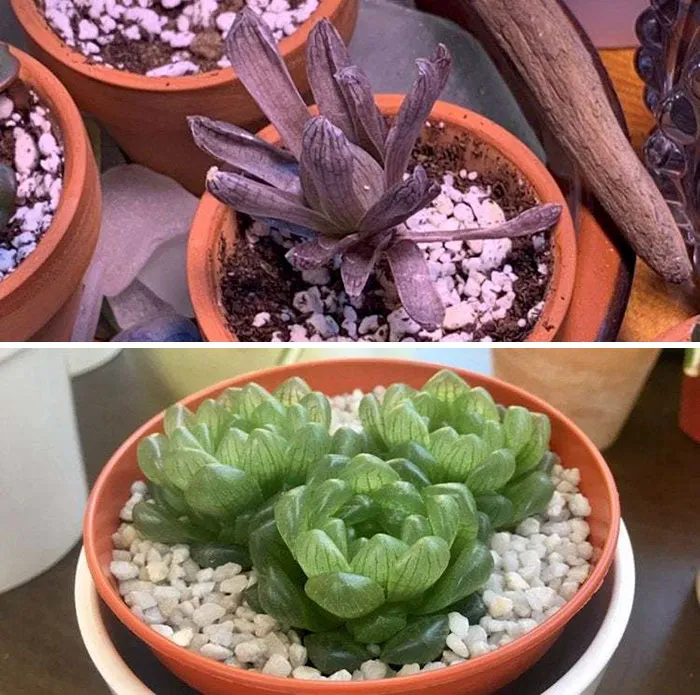 Anyone Who Says They Don't Have Favourites Is Either Lying To Themselves, Or You. Six Months Progress