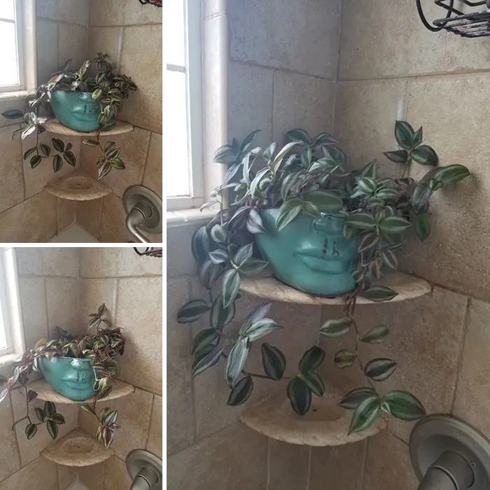 From Despondent To Fabulous After 18 Days In The Shower