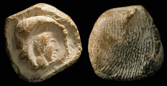 Digital Identification