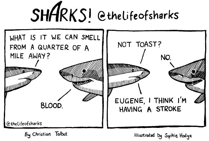 Here Are Our 30 Best Comics That Depict The Snarky Conversations Between Sharks And Other Aquatic Life