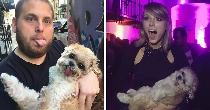 Meet Marnie, An 18 Y.O. Instagram Dog-Star With Almost 2 Million Followers And Friends Like Taylor Swift And Demi Lovato