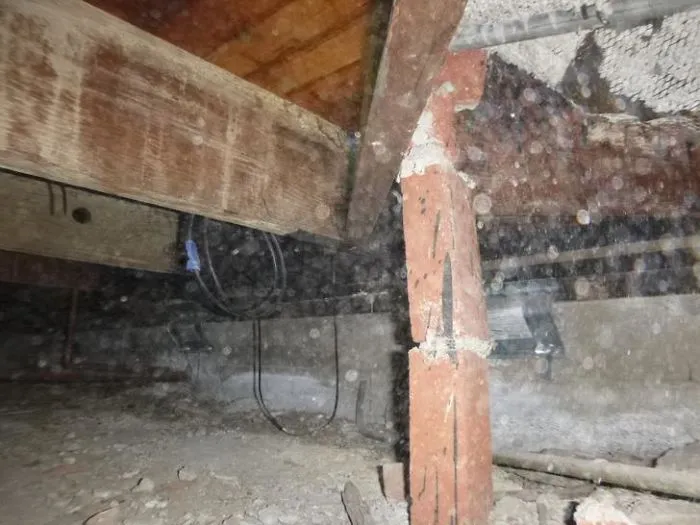 30 Times Structural Inspectors Found Surprising Things (New Pics)