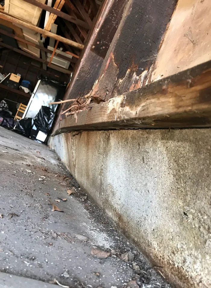 30 Times Structural Inspectors Found Surprising Things (New Pics)