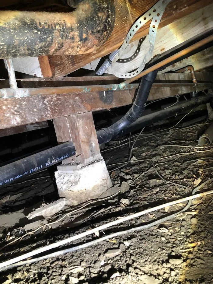 30 Times Structural Inspectors Found Surprising Things (New Pics)