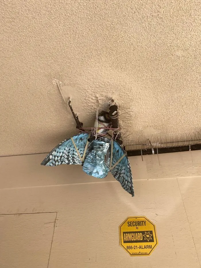 30 Times Structural Inspectors Found Surprising Things (New Pics)