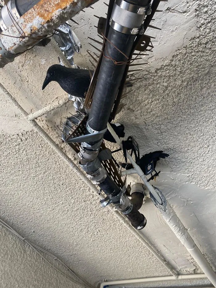 30 Times Structural Inspectors Found Surprising Things (New Pics)