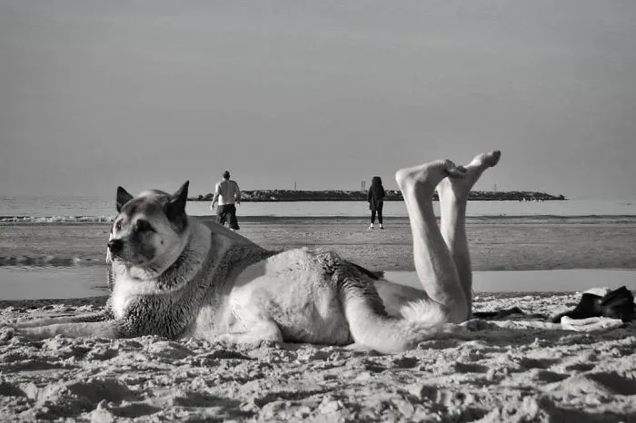 Street Photographer Captures Entertaining Shots, And Here Are 30 Of The Best Ones