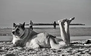 Street Photographer Captures Entertaining Shots, And Here Are 30 Of The Best Ones