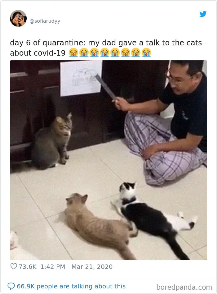 Day 6 Of Quarantine