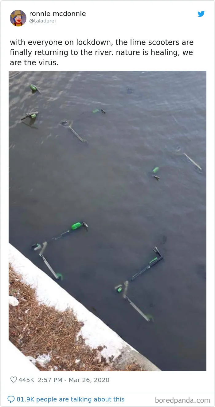 30 Funny Posts Of "Wildlife Returning' To Nature As Humans Are Forced To Quarantine