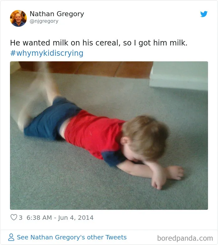 30 Of The Funniest #WhyMyKidIsCrying Tweets (New Pics)