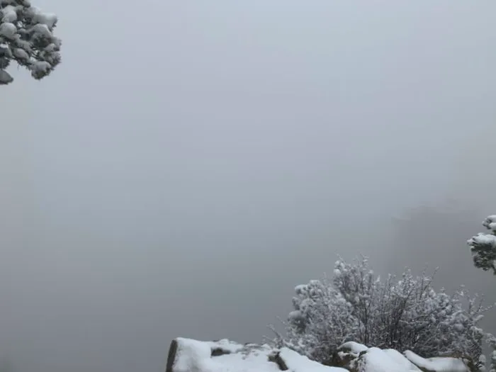 Went To The Grand Canyon Today